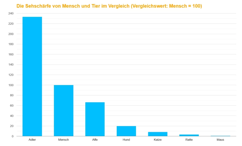 bindehautentzuendung beim hund ursachen symptome und behandlung grafik