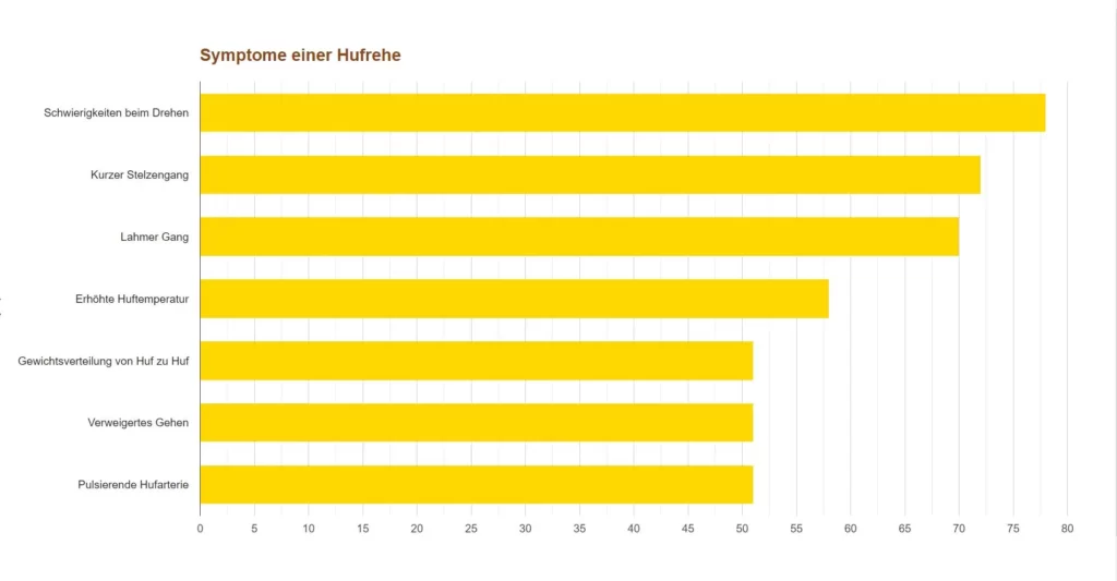 petprotect hufrehe beim pferd grafik